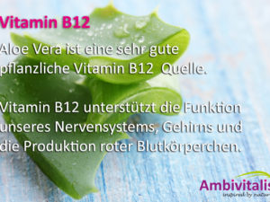 Vitamin B12 ist in Aloe Vera enthalten